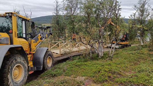 Arbeid med skogssti