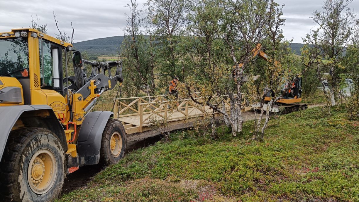 Arbeid med skogssti